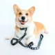 Product Sassy Woof Where Dogs Are Family STAR WARS™ Dog Leash