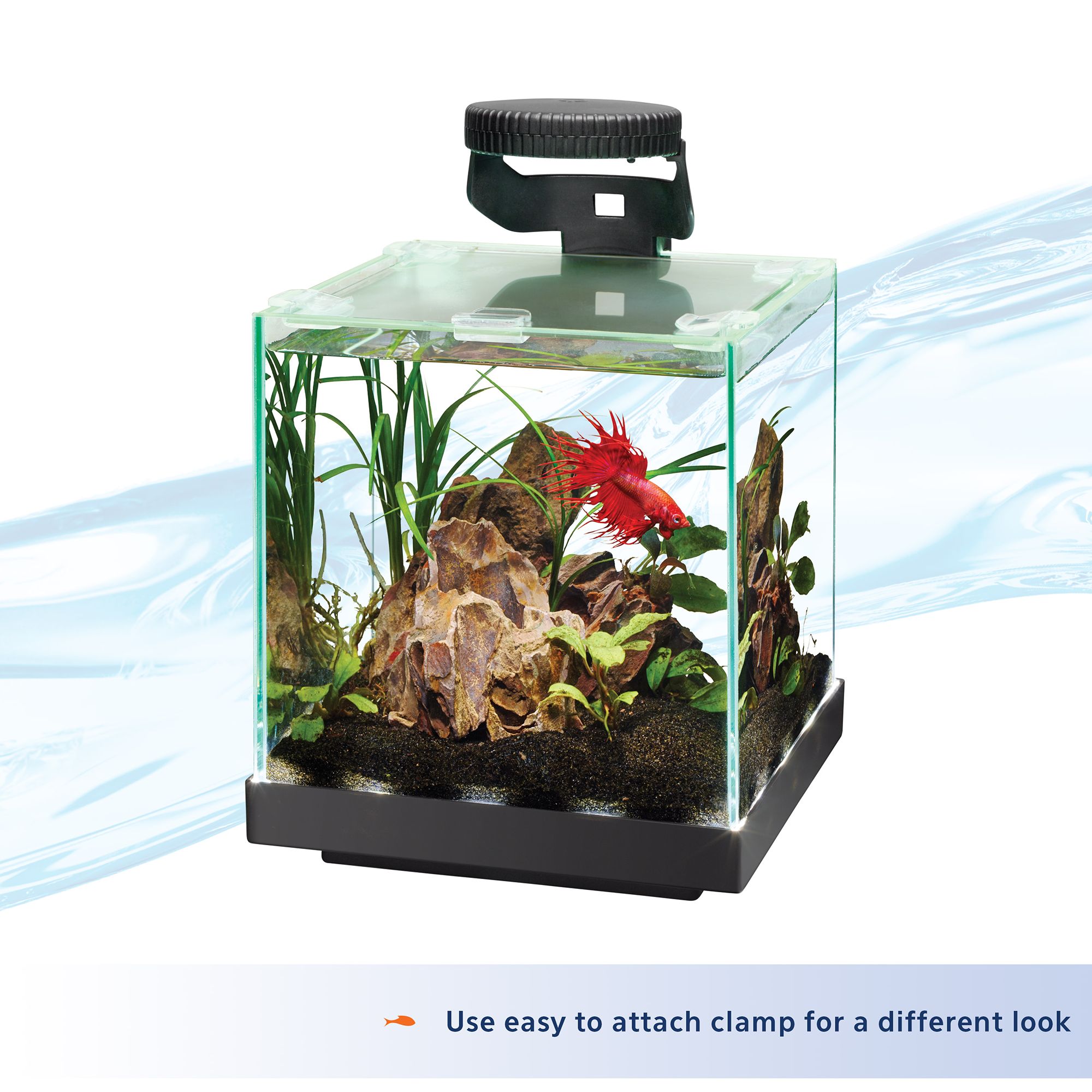 Aqueon® Betta LED Light for Betta Fish Tanks - thumbnail 4