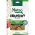 NUTRO Crunchy Adult Dog Treats - Apple 10 oz image thumbnail 1