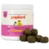 Pupford Cognition & Focus Puppy Supplement image thumbnail 4