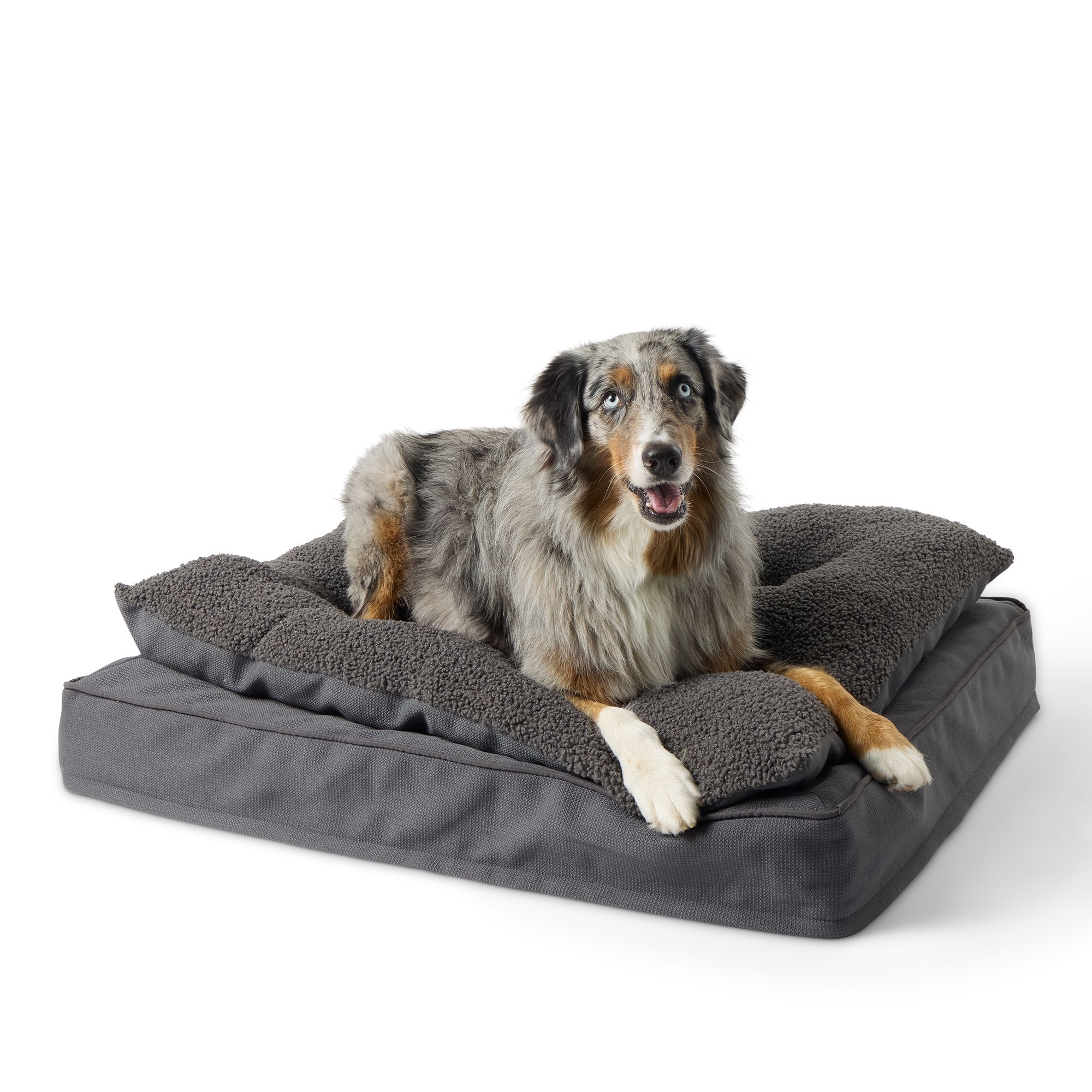 PetSmart Top Paw Charcoal Orthopedic Pillow Dog Bed