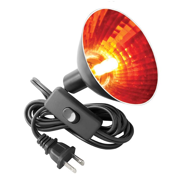 Zilla® Light & Heat Mini Halogen Bulbs Night Red Reptile Terrarium Heater - 50 watt - thumbnail 5