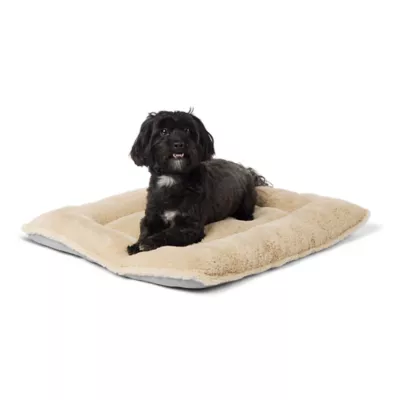 Petsmart pillow bed best sale