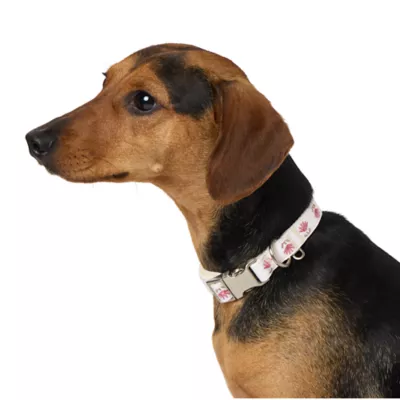 Product Top Paw® Flower Fashion Dog Collar