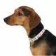 Product Top Paw® Flower Fashion Dog Collar