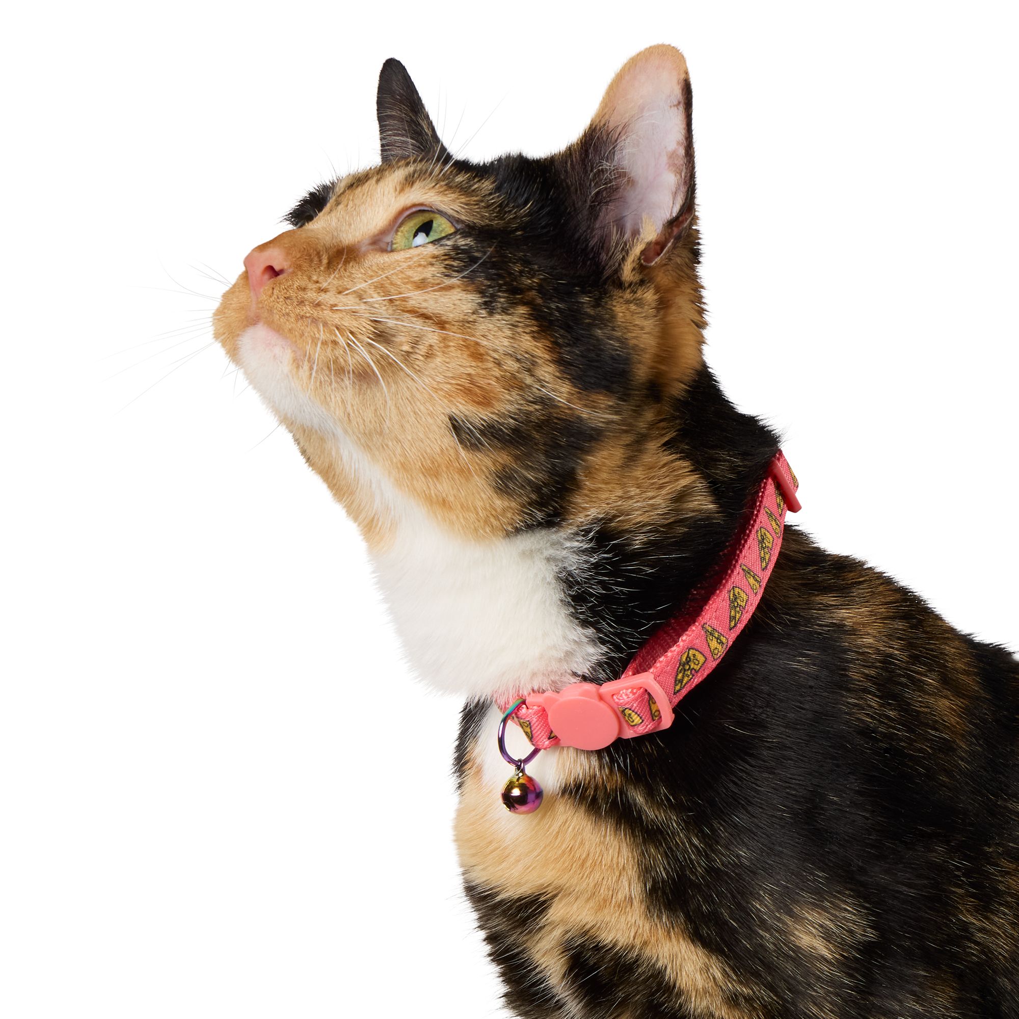 Whisker City® Cheese Cat Collar, Pink & Yellow Cat Collar, Break
