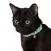 Whisker City® Green Checkered Cat Collar image thumbnail 2