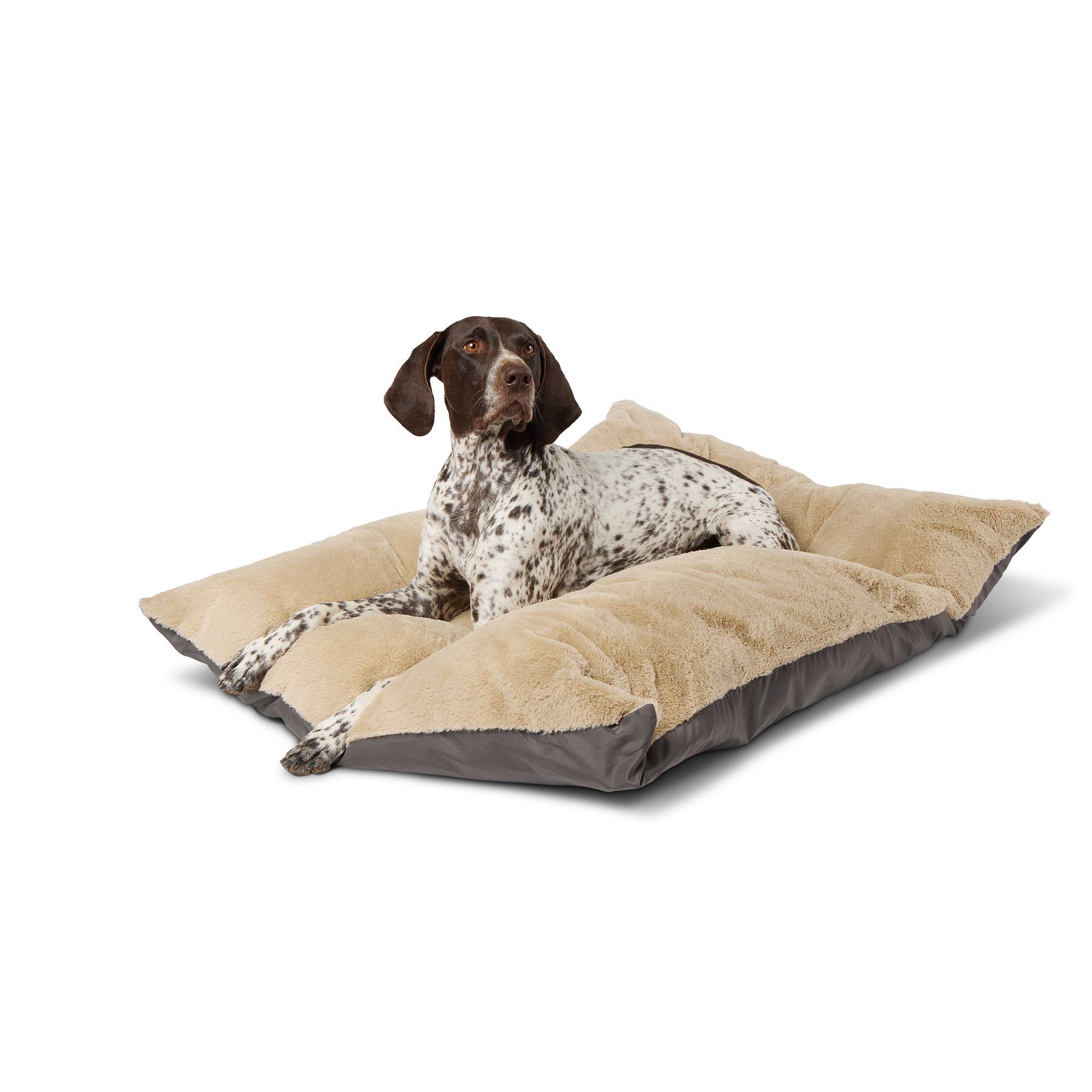 Petsmart dog pillows best sale