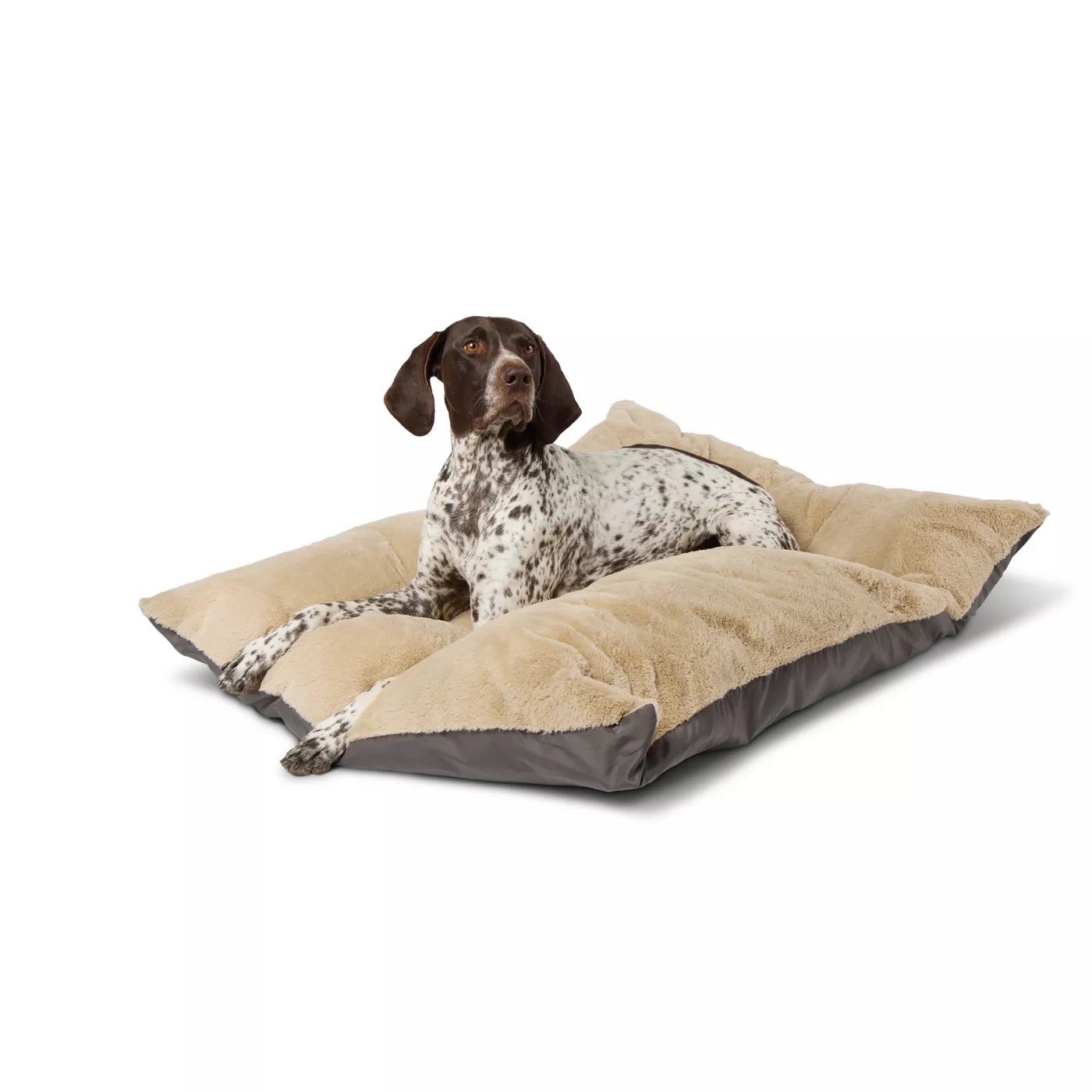 Dog plush bed best sale