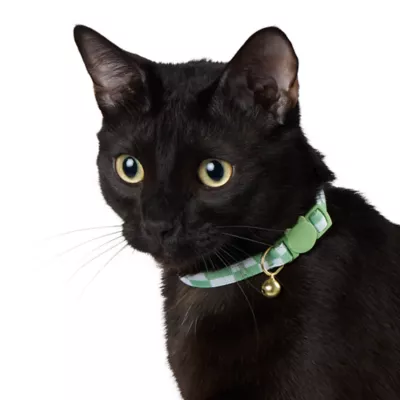 Product Whisker City Green Checkered Cat Collar