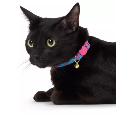 Whisker City® Cat Centric Cat Collar - Image 2