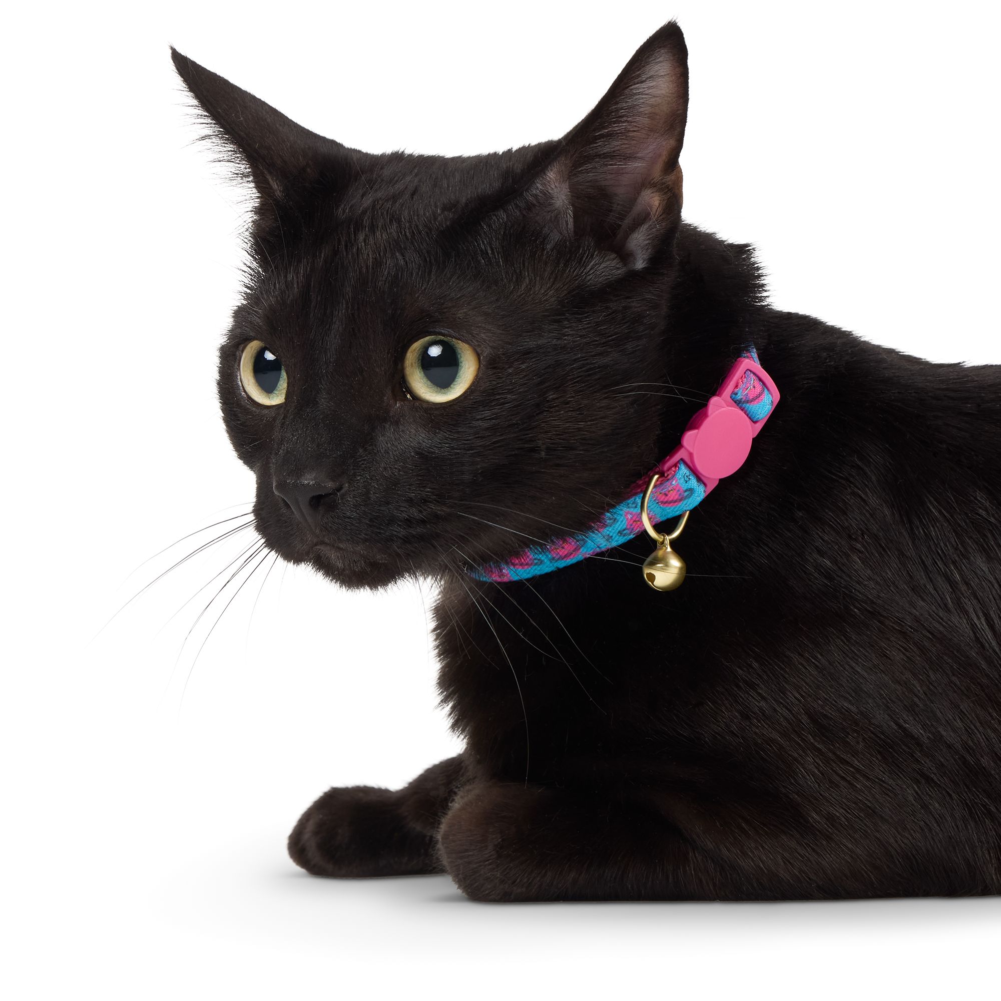 Whisker City Cat Centric Cat Collar