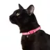 Whisker City® Pink Checkered Cat Collar image thumbnail 2