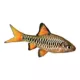 Product Checker Barb