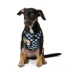 Top Paw® Checkered Comfort Dog Harness image thumbnail 1