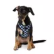 Product Top Paw® Blue Checkered Comfort Dog Harness