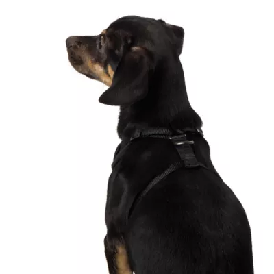 Top Paw® Checkered Comfort Dog Harness - Image 2