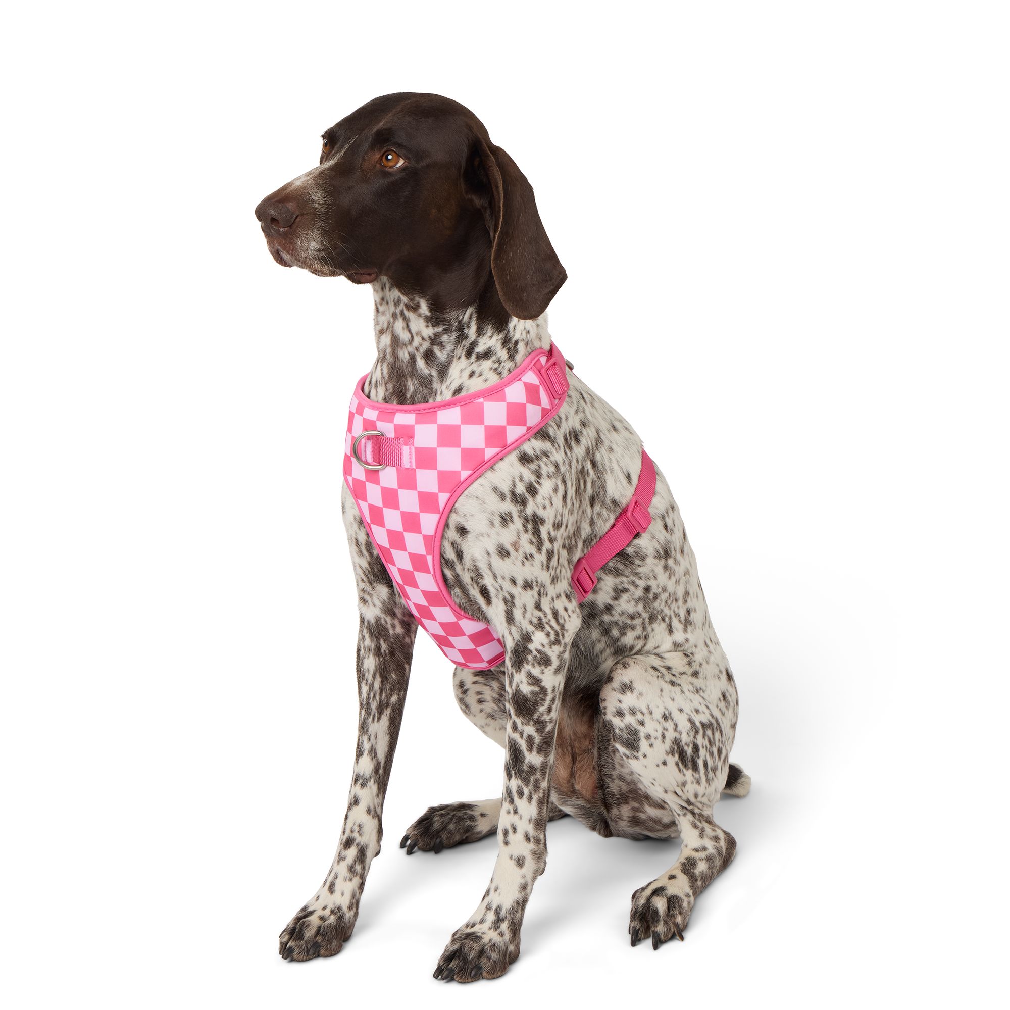 Top Paw® Checkered Adjustable Fashion Comfort Dog Harness