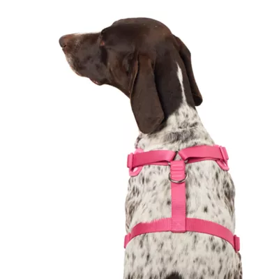 Top Paw® Checkered Adjustable Fashion Comfort Dog Harness - Image 2