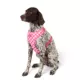 Product Top Paw® Checkered Adjustable Fashion Comfort Dog Harness