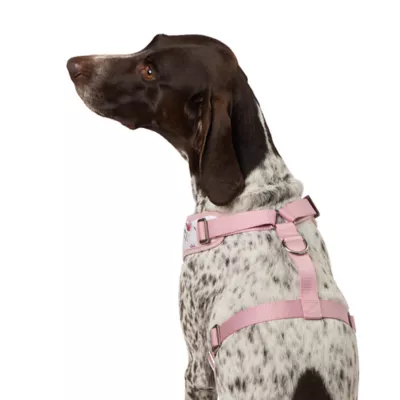 Top Paw® Flower Adjustable Fashion Comfort Dog Harness - Image 2