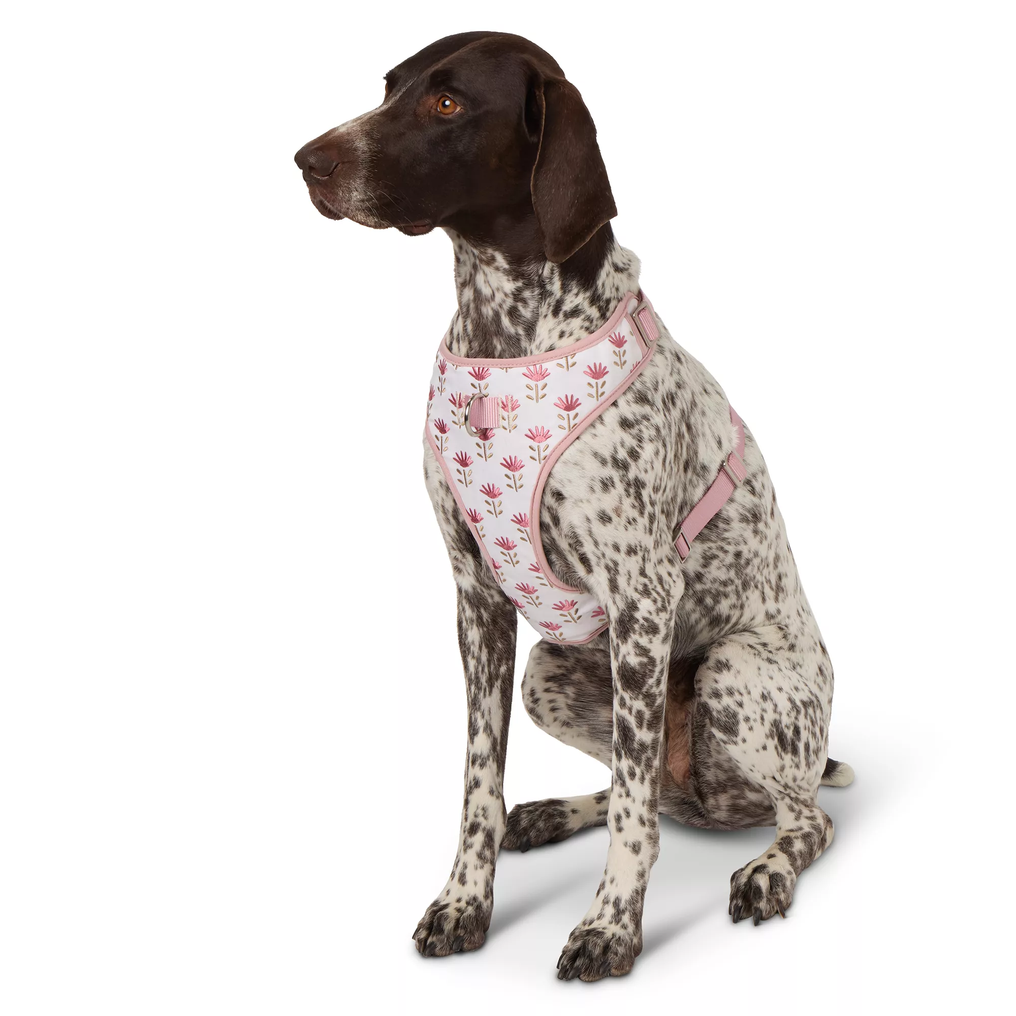 Top Paw® Flower Adjustable Fashion Comfort Dog Harness