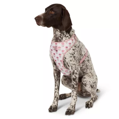 Product Top Paw Pink Flower Adjustable Fashion Comfort Dog Harness