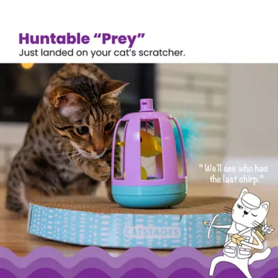 Product  Catstages Chirping Bird Scratch Toy