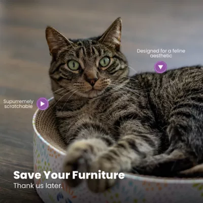 Product Catstages Scratch & Cuddle Corrugated Cat Scratcher and Lounger