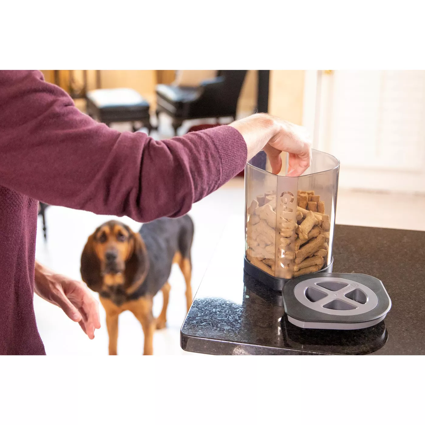 Gamma plastics dog food storage best sale