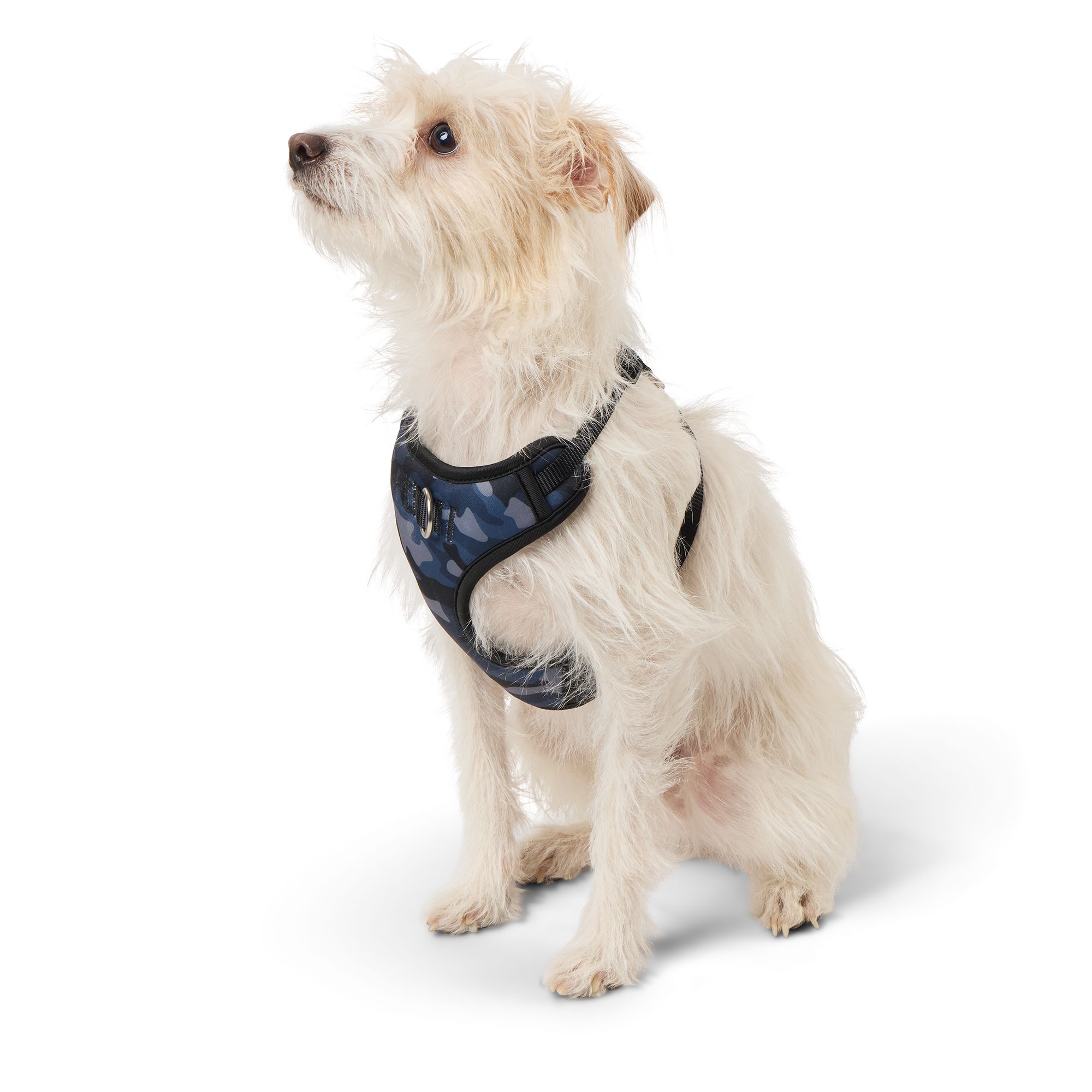 Petsmart dog harness hotsell