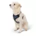 Top Paw® Camo Dog Harness image thumbnail 1