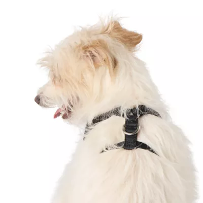 Top Paw® Camo Dog Harness - Image 2