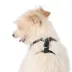 Top Paw® Camo Dog Harness image thumbnail 2