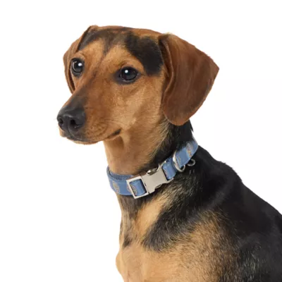Product Top Paw® Flowers Fashion Dog Collar