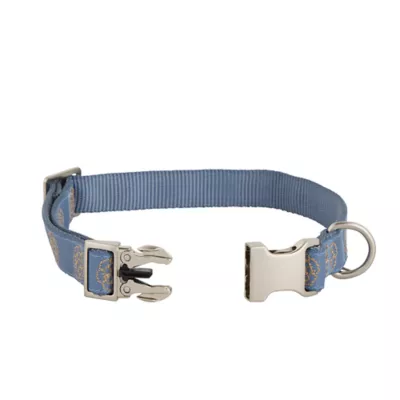 Product Top Paw® Flowers Fashion Dog Collar