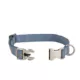 Product Top Paw® Flowers Fashion Dog Collar