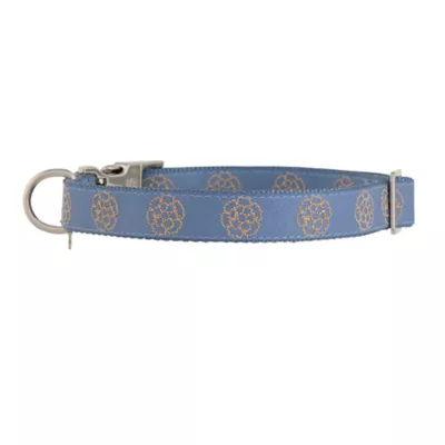 Product Top Paw Blue with Flowers Fashion Dog Collar