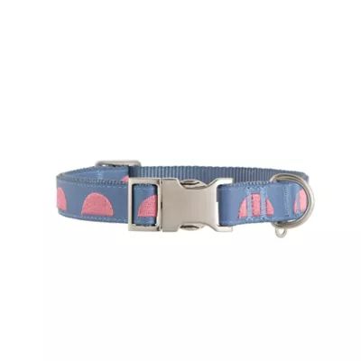 Product Top Paw® Circles Fashion Dog Collar