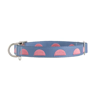 Product Top Paw® Circles Fashion Dog Collar