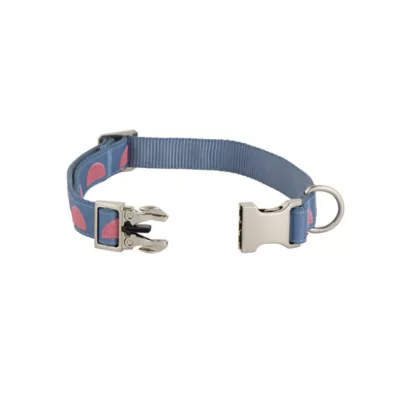 Product Top Paw® Circles Fashion Dog Collar