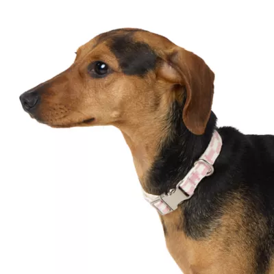 Product Top Paw® Checkered Fashion Dog Collar