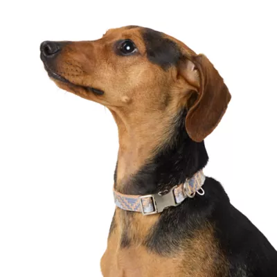 Product Top Paw Aztec Fashion Dog Collar
