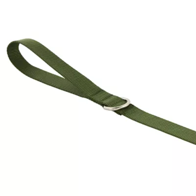 Product Top Paw® Standard Dog Leash: 6-ft long