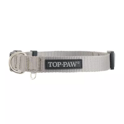 Product Top Paw Grey Adjustable Dog Collar