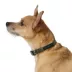 Top Paw® Signature Adjustable Dog Collar image thumbnail 2