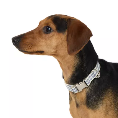 Product Top Paw® Woven Fashion Dog Collar