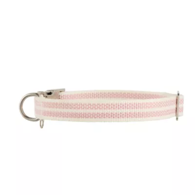 Product Top Paw® Woven Fashion Dog Collar