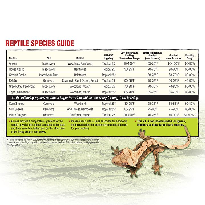 Zilla® Reptile Terrarium Liner 40 Gallon - Terrarium Floor Cover - 30B/40B/50/65 gal - thumbnail 6