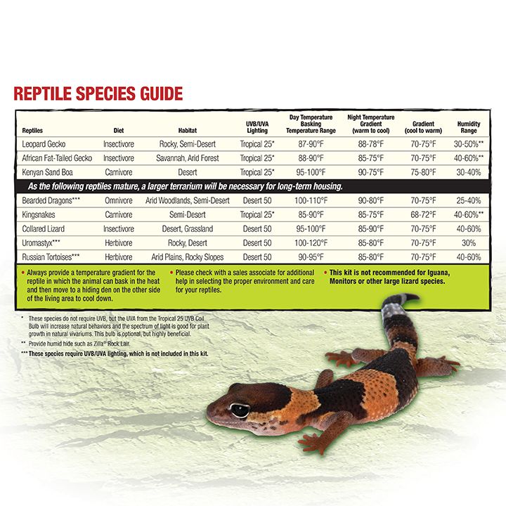 Zilla® Reptile Terrarium Liner 40 Gallon - Terrarium Floor Cover - 30B/40B/50/65 gal - thumbnail 7
